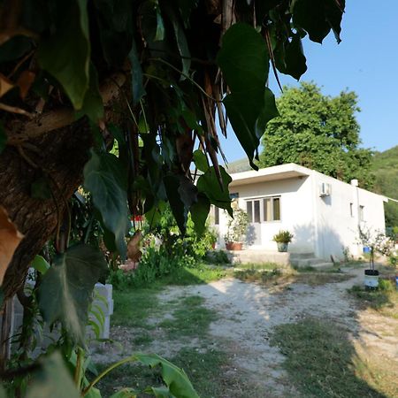 Tropikal Freskia Bunec Sarandë Exterior foto
